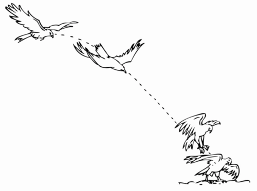 gif小图动画运动规律