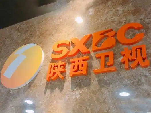 陕西卫视设计含义及logo设计理念