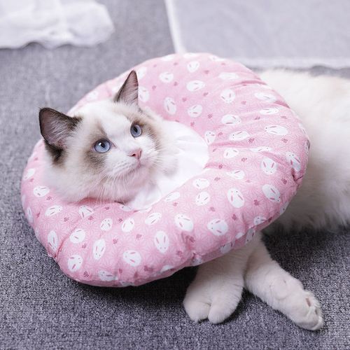 麦德豪软圈防咬软圈伊丽莎白猫圈伊丽莎白圈猫咪