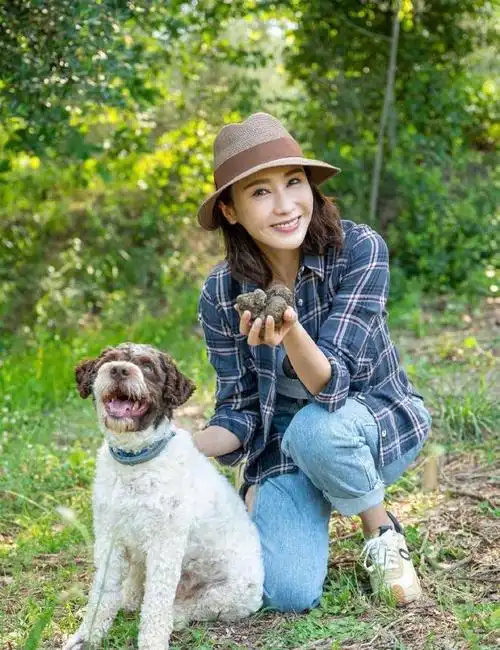 黎姿晒旅游照片穿泳衣与大自然亲密接触小溪戏水展现青春气息