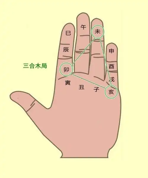 十二生肖傻傻分不清?轻松记忆"地支掌",学会了一辈子受益