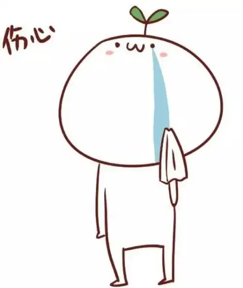 【野鸡学校】出国留学别钻漏洞进"野鸡学校",小心中