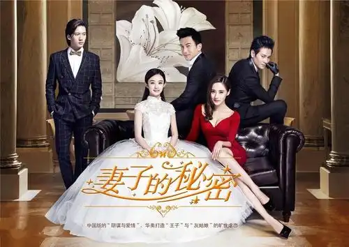 妻子的秘密_电视剧介绍_评价_剧照_演员表_剧评