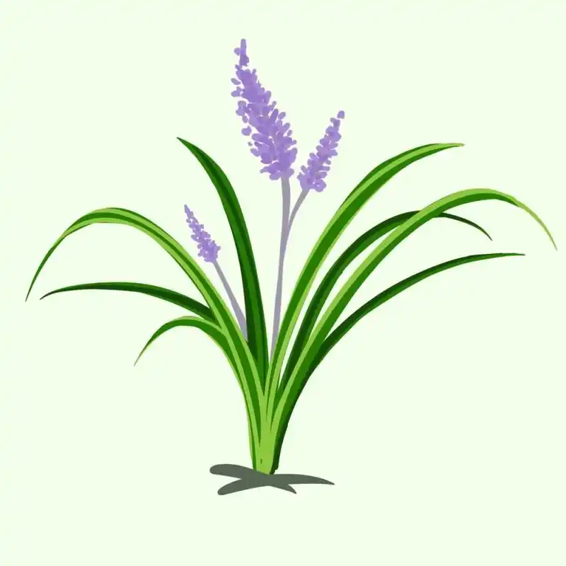 林家大院植物选秀第七期天高云淡秋意渐浓