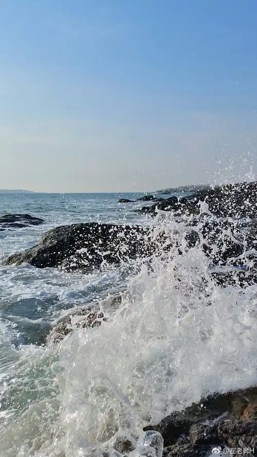 采撷一朵朵海浪花给大家拜年啦                        @青岛交通