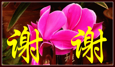 400_232gif 动态图 动图