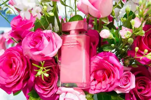 narciso rodriguez x lady m当美好遇见美好在ins上超火的香氛品