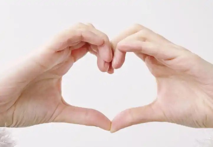 ━/././.━ ━./.━