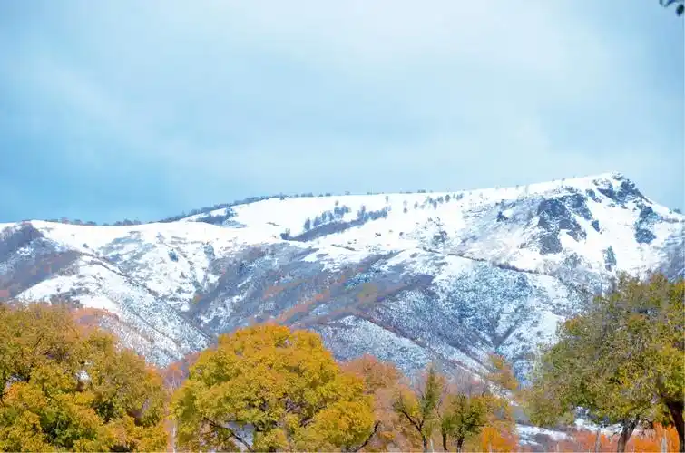 秋冬交替的湖泊,泡子
