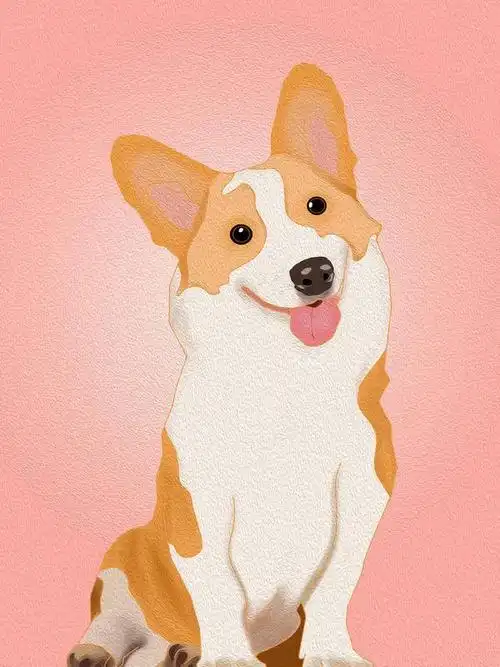 插画 动物 宠物 狗 白色 可爱 粉色 原创 插画 萌宠 舌头 毛茸茸 柯基
