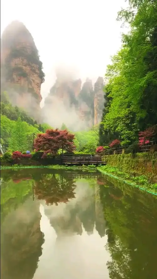 风景如画#每立方米含10万多个负离子的地方人间仙境世外桃源