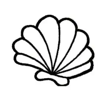 贝壳简笔画 - 简单简笔画