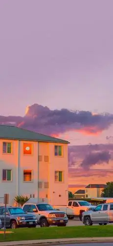 壁纸2021愿我们所求皆如意所行化坦途