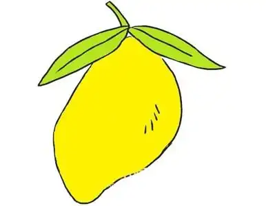 水果图片,水果画画-学笔画