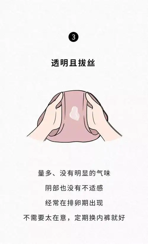 女生的内裤到底有多脏?|霉菌|白带_网易订阅