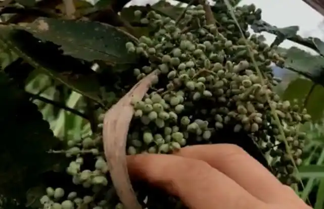 各种零食含盐量 - 2020年最新商品信息聚合专区 - 百度爱采购