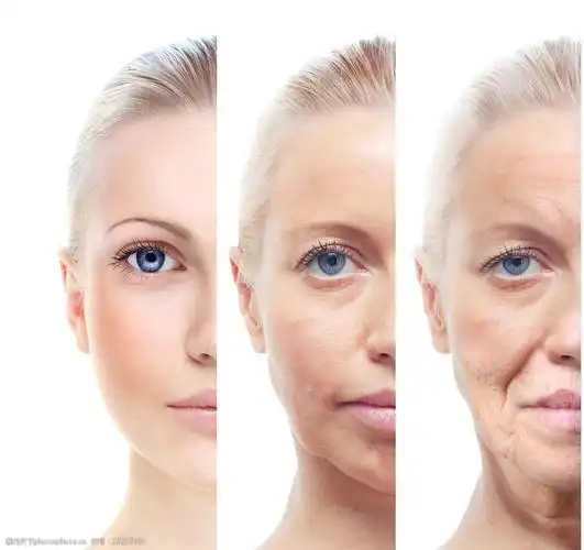 从年轻到老年的容貌对比图片