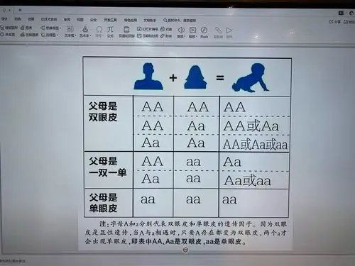 父母遗传基因不同,也就形成了单眼皮或双眼皮
