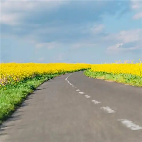 高清能带来好运的微信头像大全2021图片