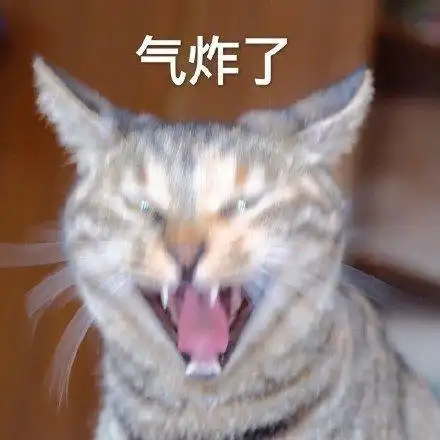 萌宠猫星人气炸了生气搞怪逗gif动图_动态图_表情包下载_soogif