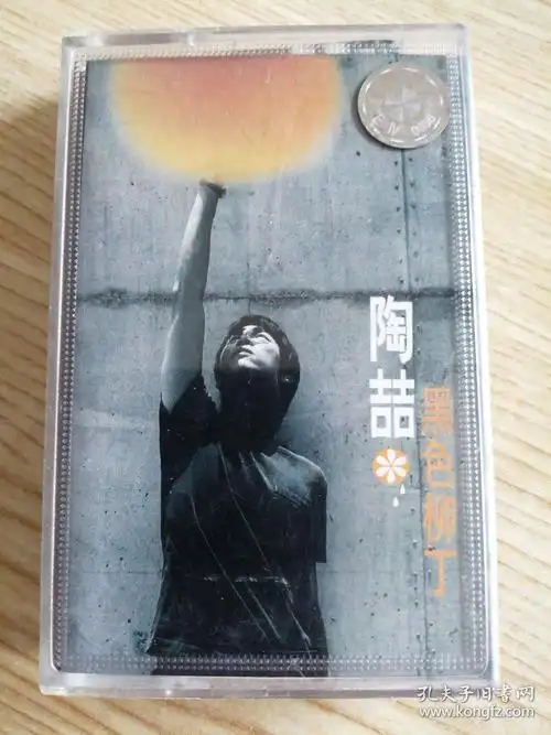 陶喆黑色柳丁磁带