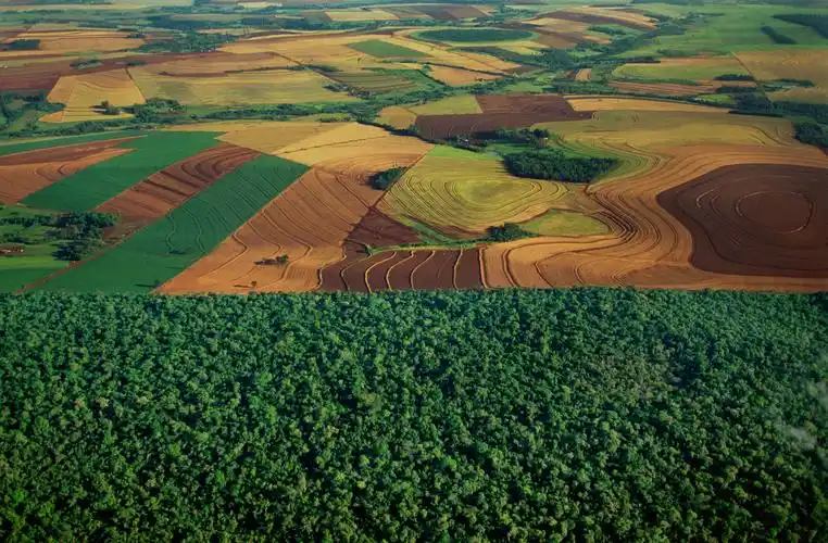 热带稀树草原是巴西重要的植被类型,约占巴西国土面积的24%,但其土壤