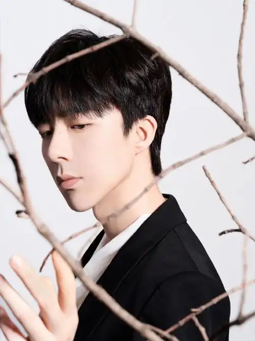 刘宇宁宝曼兰朵品牌大使