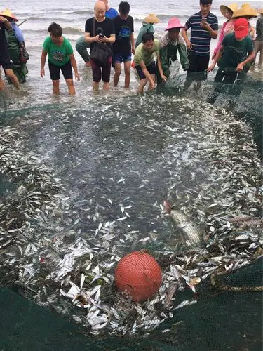 南三岛上捕鱼去