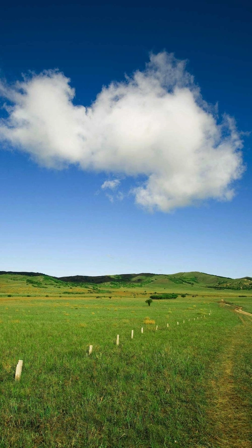 蓝天白云草原h5背景 (1)