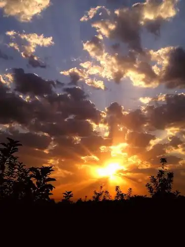 清晨 在家乡田间地头拍摄记