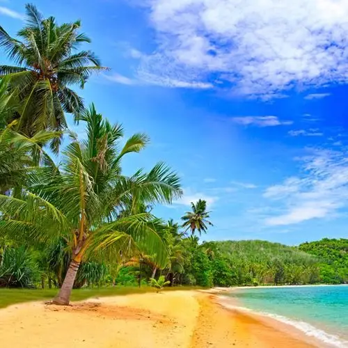 沙滩椰林碧海蓝天_微信头像风景图片_扣扣居