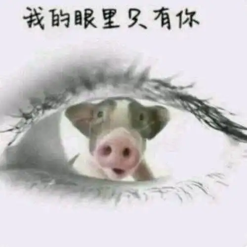 你只有打飞机的命表情包 - 日常表情包