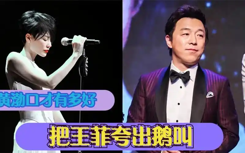 黄渤口才有多好?把王菲夸出鹅叫声,主持节目出口成章