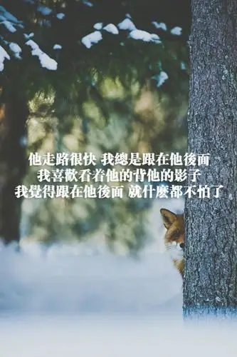 唯美的带字的手机壁纸图片