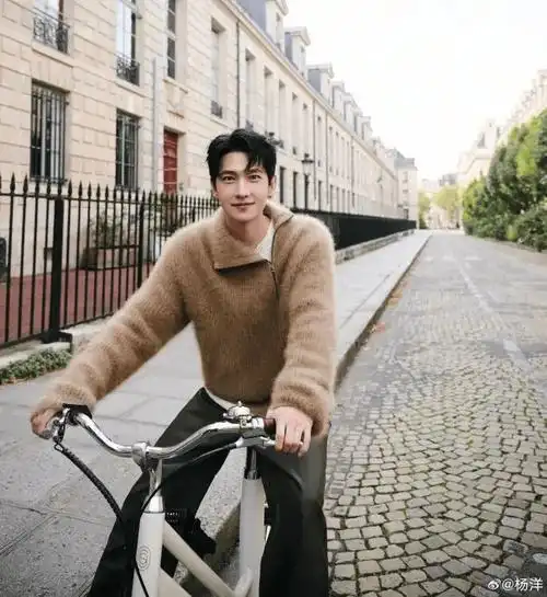 2007年,杨洋因在李少红版《红楼梦》中饰演成年贾宝玉而踏入影视圈.