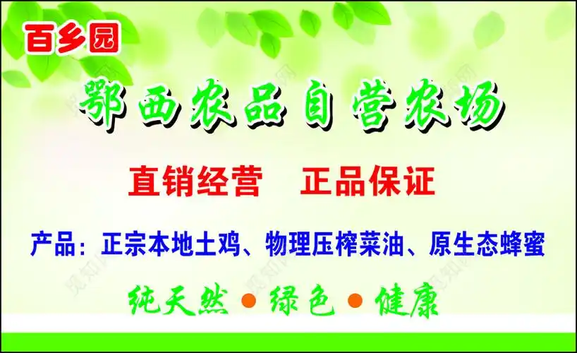 农产品名片直销正宗土鸡简约名片设计模板
