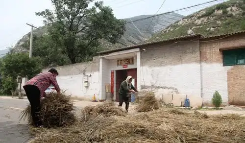 家里没有男人的日子,看看农村的女人们生活成啥样