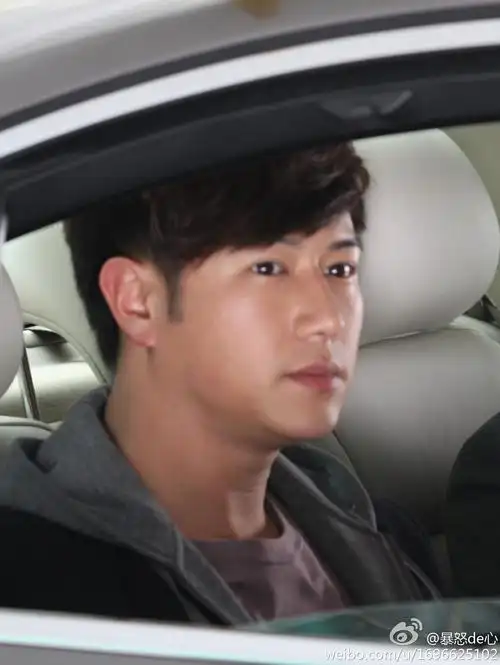 1158278">陈键锋 /a>, a href="#" data-lemmaid="516285">陈司翰 /a>