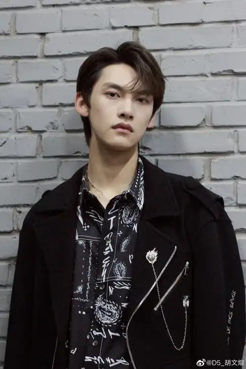 主题:有句港句,喜欢假偶天成的,真的可以去搞少年之名的胡文煊,代餐.