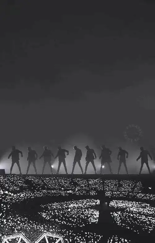 有exo九人的壁纸吗