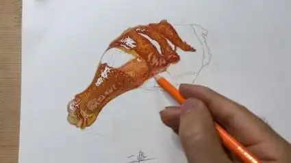 278课尼奥尼彩铅写实鸡腿2