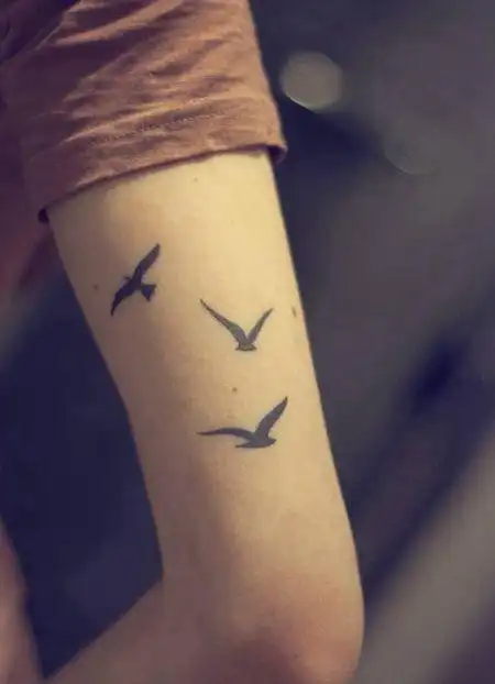 胳膊上三只纯黑色海鸟简约纹身图案