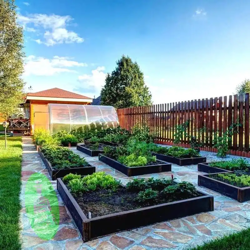 将菜园设计成漂亮的景观(一)