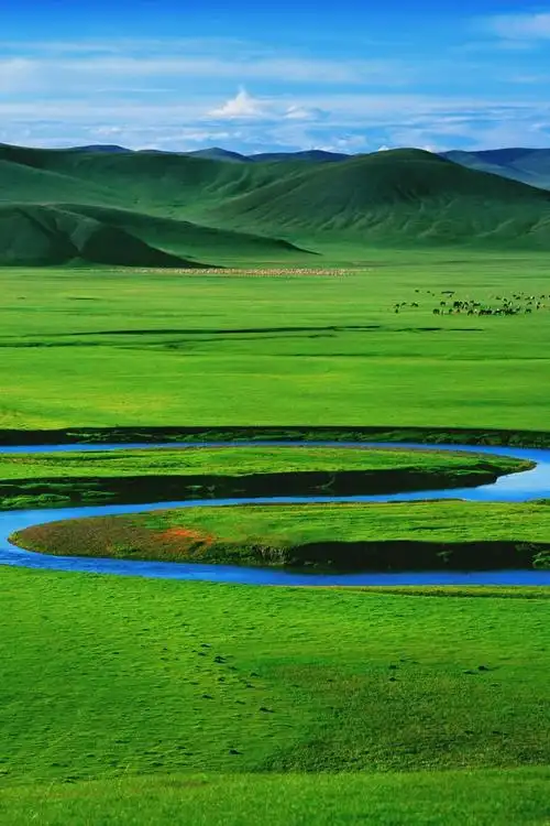 25的中国住在草原上