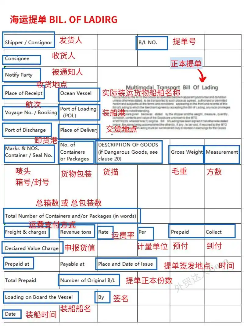 1分钟轻松看懂海运提单,赶紧学起来.很多外贸人还不知道海运提 - 抖音