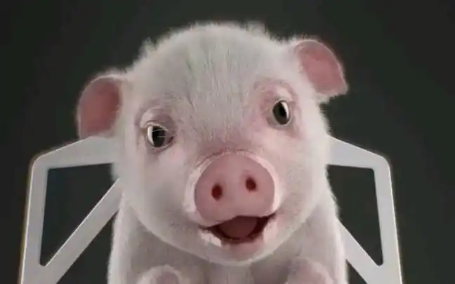 【搞笑视频】神配音;太搞笑了,肚子笑疼,专治不爱笑的