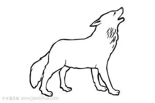 狼简笔画可爱狼简笔画可爱卡通