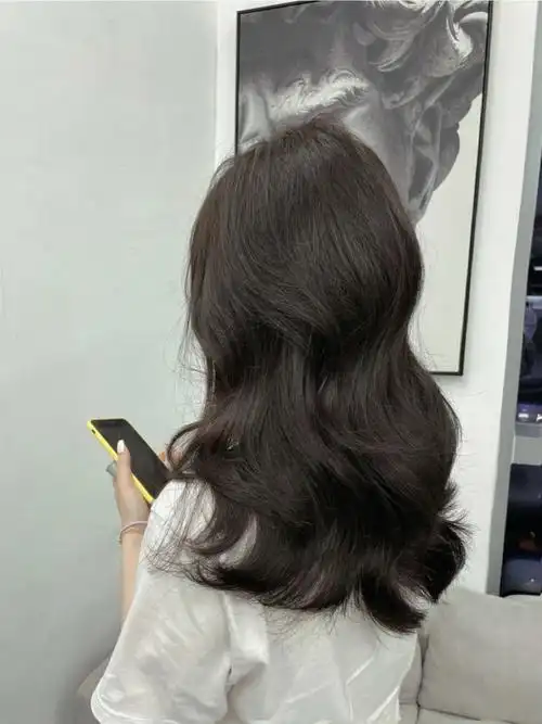 冬季显质感发色黑茶色