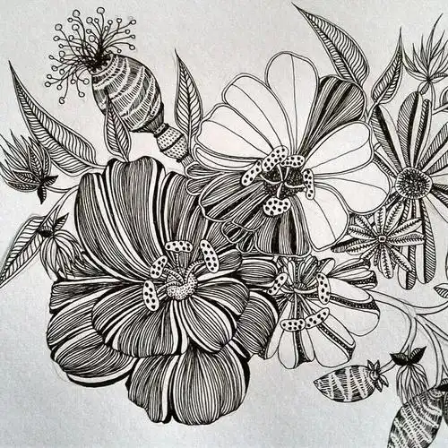 她笔下针管笔线描如此有趣且精致看一眼保证你喜欢上黑白插画