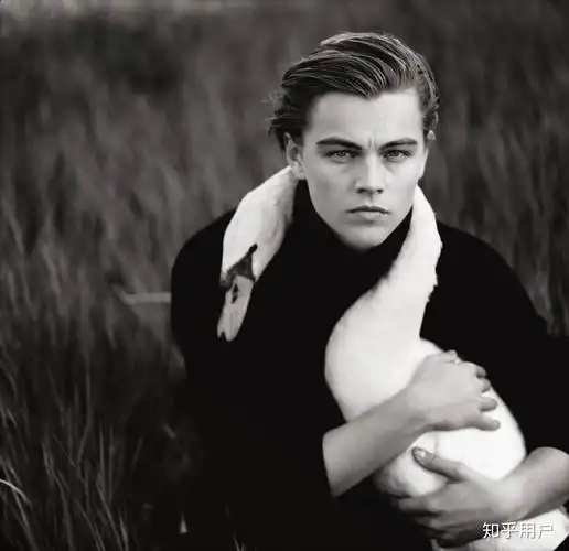 有什么小李子的神仙头像